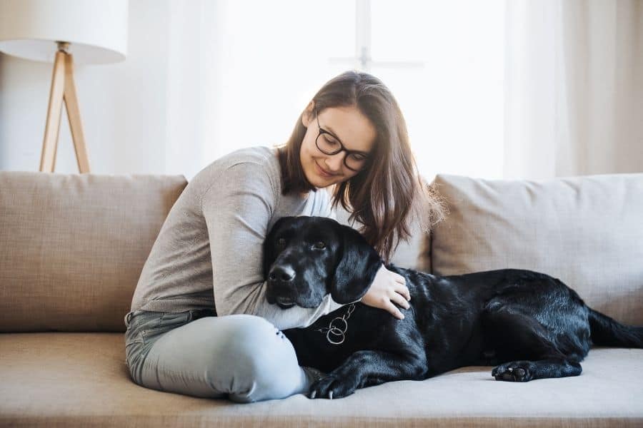 4 Pet Sitting and Dog Walking Myths We See All The Time